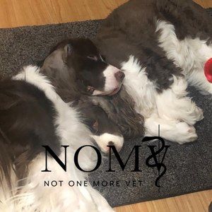 Meet your Posher, Caitlin